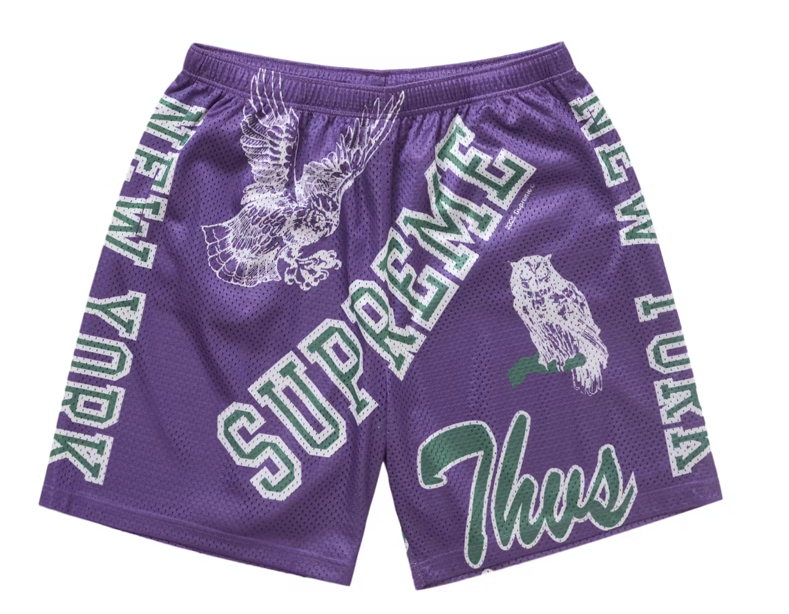 Product | Supreme Varsity Mesh Short Purple